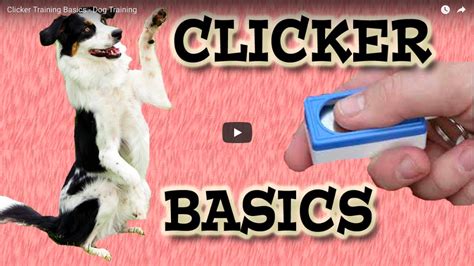 Clicker Training Basics Tiptopdogz