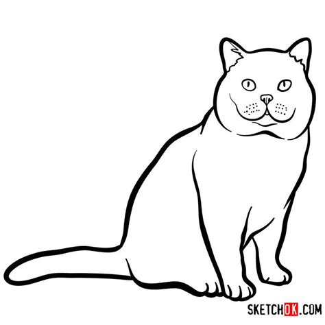 How To Draw The British Shorthair Cat Step By Step Drawing Tutorials