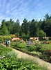 The Abby Aldrich Rockefeller Garden: Seal Harbor, Maine - Landscape ...