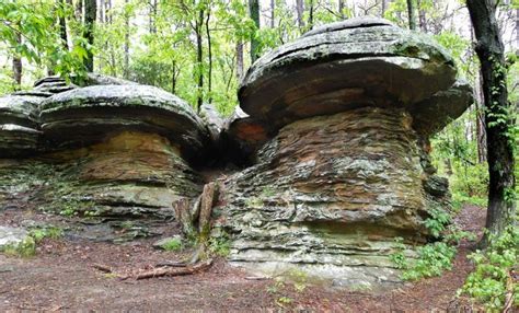 Walk Through 3300 Acres Of Rock Formations At Illinois Garden Of The