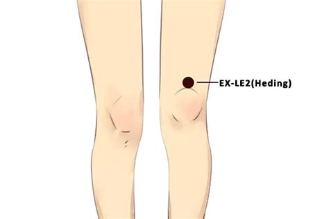 Pressure Points In Knee 10 Acupressure Points For Knee Pain Relief