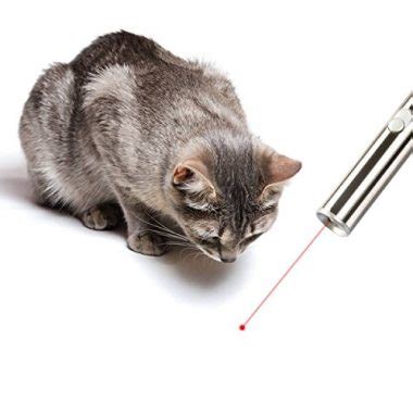 Mother cats play with their kittens to teach them to hunt, exercise their muscles and give them mental. 7 Best Laser Pointers for Cats (Review & Buying Guide) in 2018