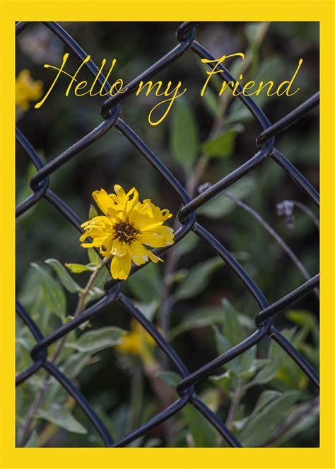 Hello Greeting Card Free Stock Photo Public Domain Pictures