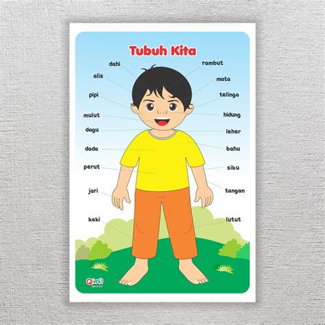 Jual Poster Belajar Anak Tk Paud Mengenal Anggota Tubuh Mainan