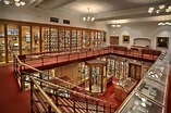 Skulls and Specimens: The Mütter Museum is Weird and Worth It – The ...