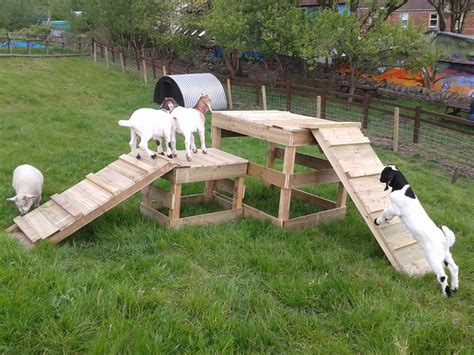 Goat House Ideas For The Unexperienced All Pet Care