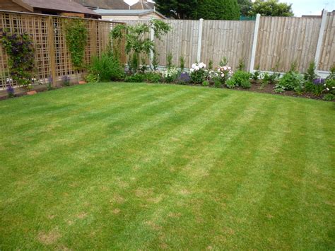 Whats Wrong With My Lawn — Bbc Gardeners World Magazine