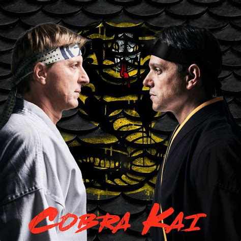 Johnny and daniel are facing off with. COBRA KAI (Season 1) — TV Review - The Baseline - Medium