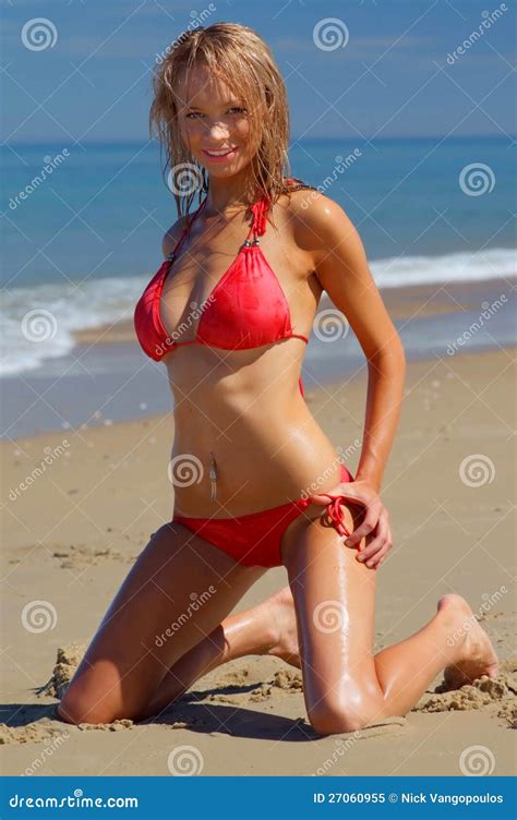 Sexy Bikinimeisje Stock Afbeelding Image Of Stropdas