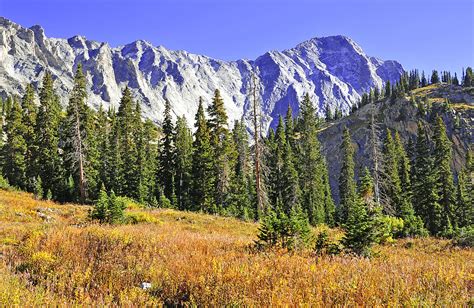 Tourists Are Reportedly Ruining Colorado's Tundra
