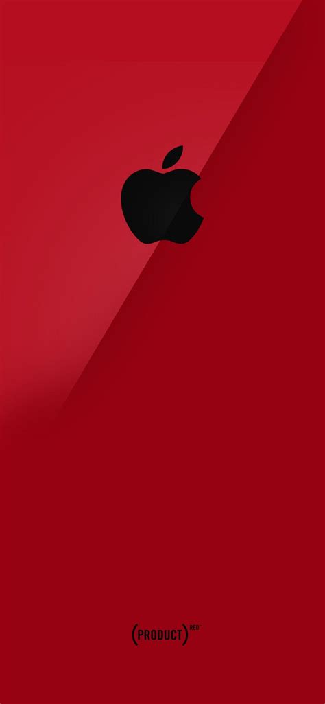 Red Apple Wallpapers Top Free Red Apple Backgrounds Wallpaperaccess