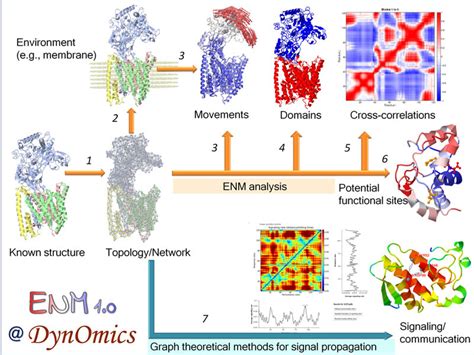 Graphical Abstracts Examples Nucleic Acids Research
