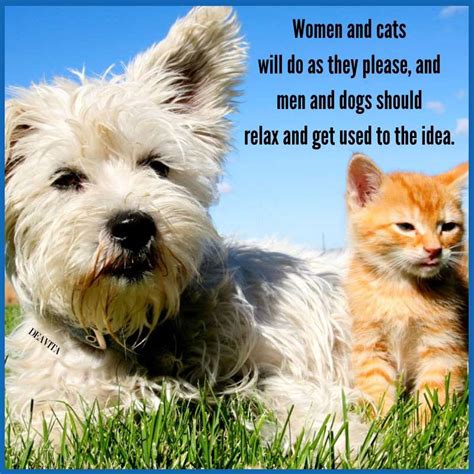 The Truth About Cats And Dogs Quotes Joicefglopes