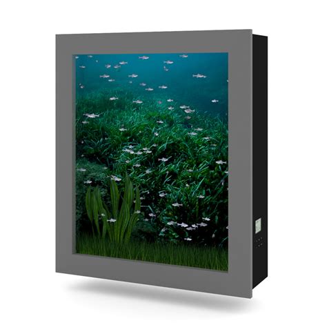 Wall Mounted Aquarium 3d Model Cgtrader