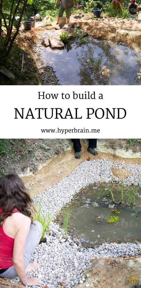 May 04, 2021 · in a larger artificial pond, you can perform partial water changes a couple of times a month if you have a small pond. How to build a natural pond - Hyperbrain.me