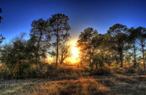Where To Catch The Perfect Sunset In Texas