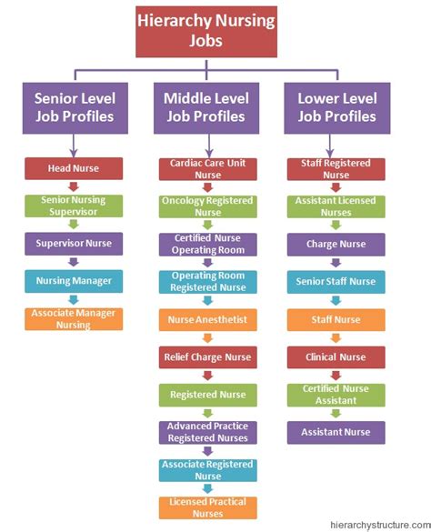 Hierarchy Nursing Jobs Nursing Career Structure