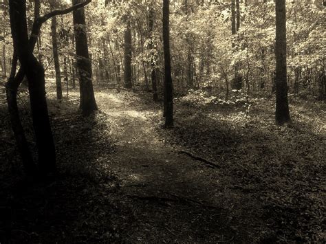 Dappled Sepia Henry County Ga Neal Wellons Flickr
