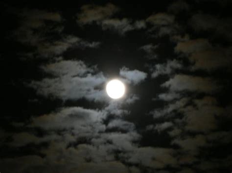 Free Picture Moon Night Landscape