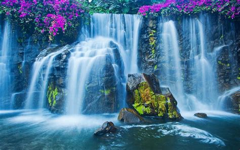 Waterfall With Flowers Hd Wallpaper Wallpaper Flare