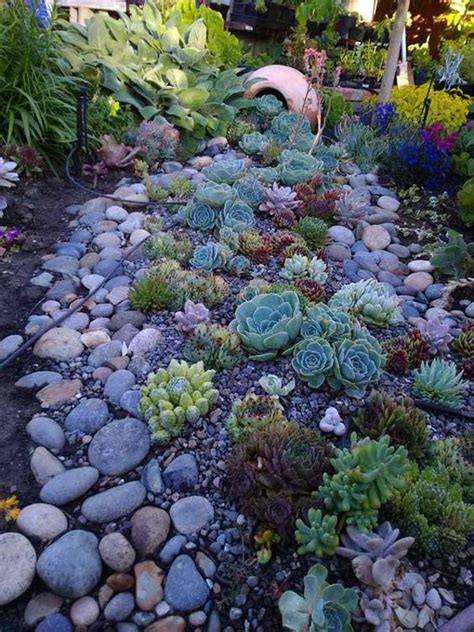 25 Catchy Outdoor Succulent Garden Ideas Digsdigs