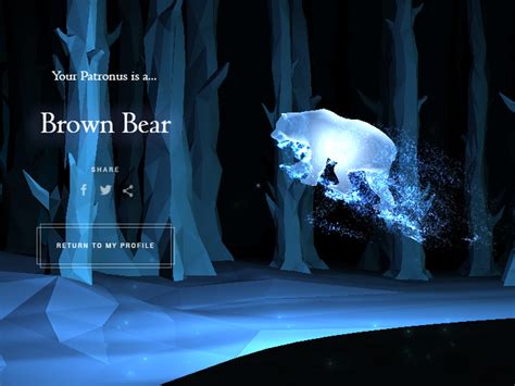 Brown Bear Patronus Patronus Art Patronus Harry Potter Patronus