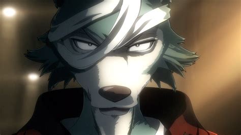 Episode 04 Beastars Wiki Fandom