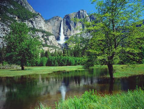 Merced River Reflects Yosemite Falls By Ron And Patty Thomas
