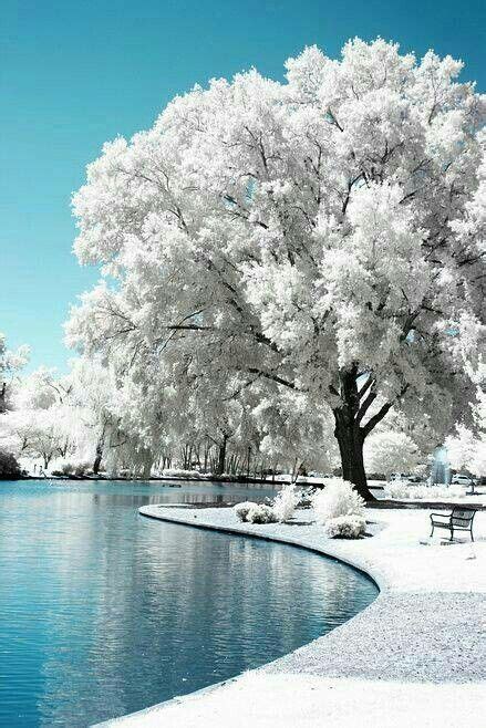 Most Beautiful Winter Scene Ever Its A Beautiful World Pintere