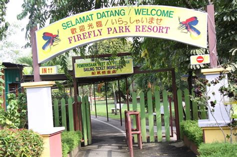 Batu caves and shah alam blue mosque deserve to be at the top your break in selangor needn't send you broke with free things like these to keep you on the go Kampung Kuantan Firefly Park | Review | Selangor ...