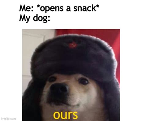 Image Tagged In Communismdoggocommunist Dog Imgflip