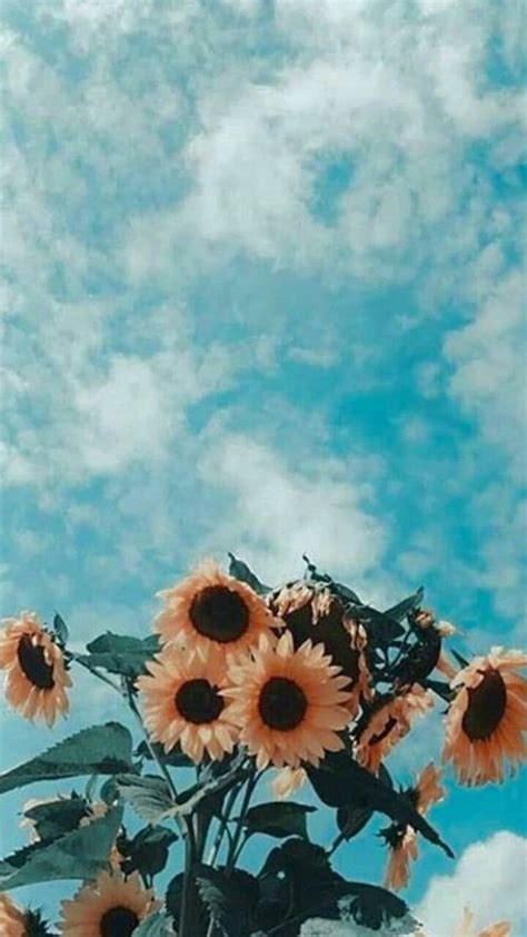 Picture contains an interesting idea, evokes emotions, aesthetic pleasure. #aesthetic #sky #flowers #pastel #nature #vintage #cute # ...
