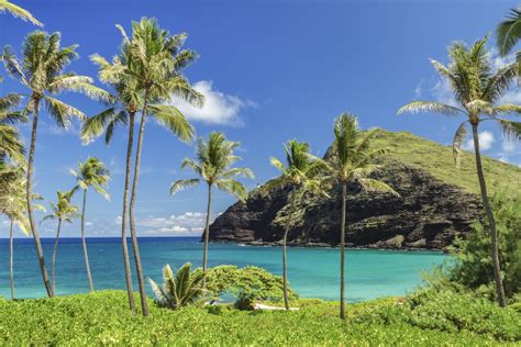 Living The Dream In Hawaii Hawaii Real Estate Market And Trends