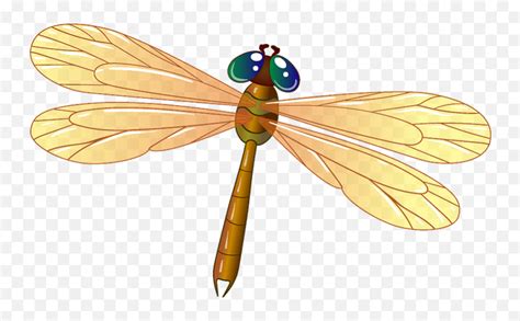 Dragonfly Clipart Clipart Images Of Dragonfly Pngdragon Fly Png