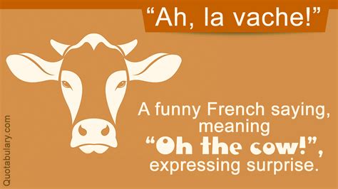 Hilariously Funny French Sayings Thatll Amuse You To No End