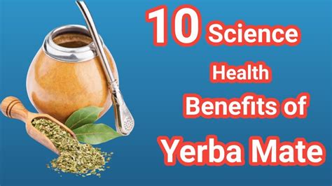 10 Science Backed Health Benefits Of Yerba Mate Sky World Health Tips Yerba Mate Tea Youtube
