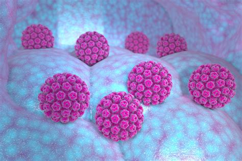4 Important Things Everyone Should Know About Hpv Human Papillomavirus