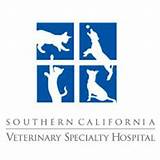 Emergency Pet Hospital San Diego Images