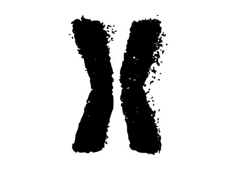 Mono Letter ‘x Graffiti Stencil Letter Graphic By Graphicsbam Fonts
