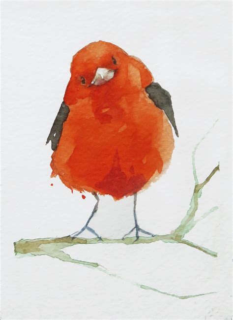 Watercolor Birds On Behance