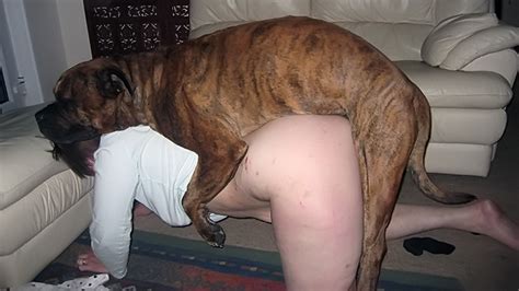 Husband Dirty Talks While Wife Fuck Dog Xxx Femefun