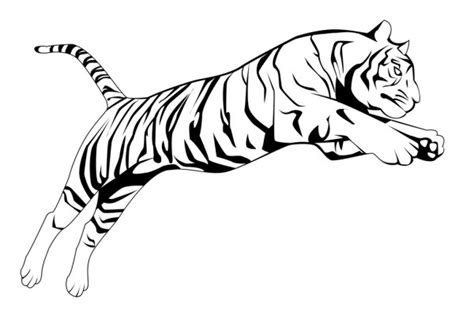 Картинки Тигра В Прыжке Telegraph