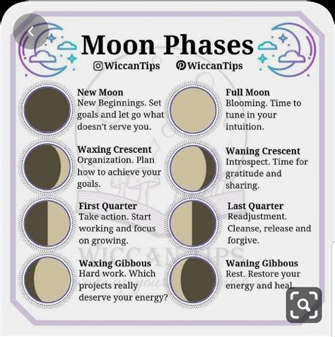 Moon Phases Moon Phases Lunar Witch Green Witchcraft