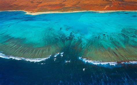 Découvrez Le Ningaloo Reef Avec Lagence Locale Terra Australia