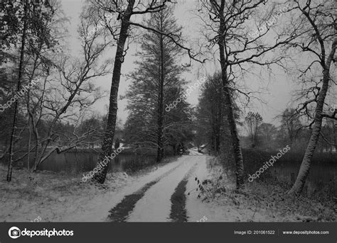Beautiful Nature Landscape Photo Trees Long Road Alley Katrineholm