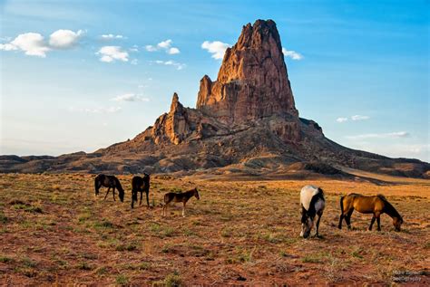 Navajo Land
