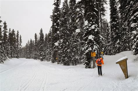 12 Best Trails For Cross Country Skiing In Banff Area For All Levels