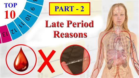 10 Reasons Why Your Period Is Late Kulturaupice