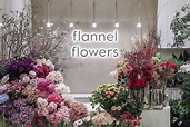 FLANNEL FLOWERS | Hong Kong's Finest Florist | Online Flower Delivery