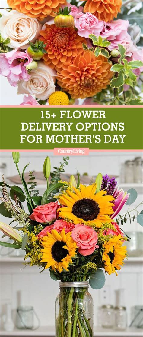 We did not find results for: 20 Best Mother's Day Flower Delivery Services - Where to ...